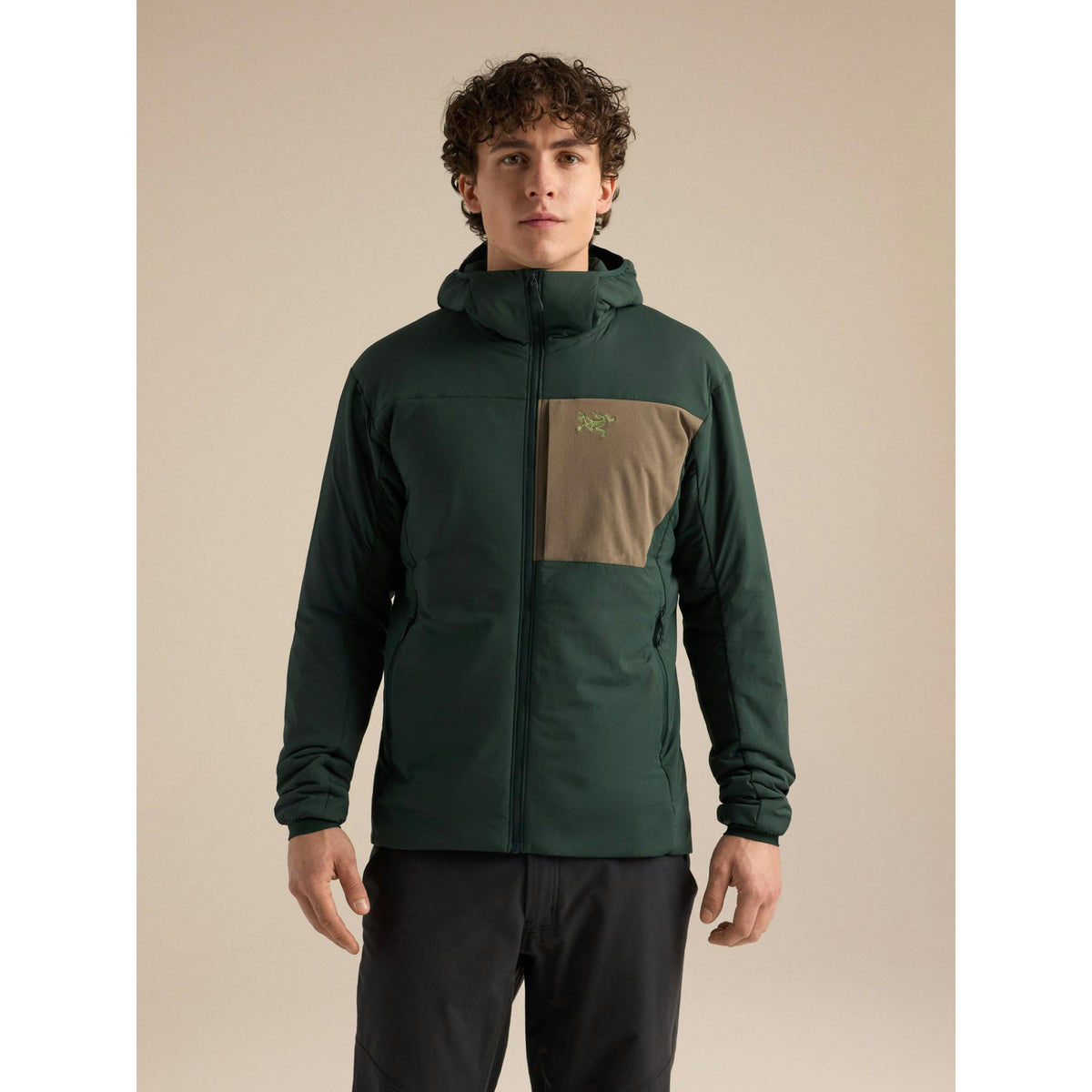 Arcteryx Mens Proton Hoody F26