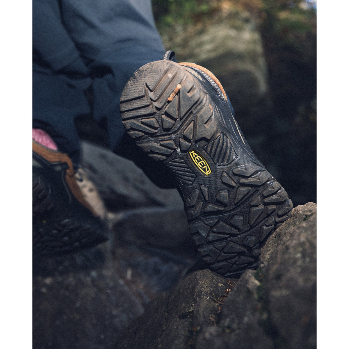 Keen Mens Targhee IV WP in Java/Bison - Java/Bison