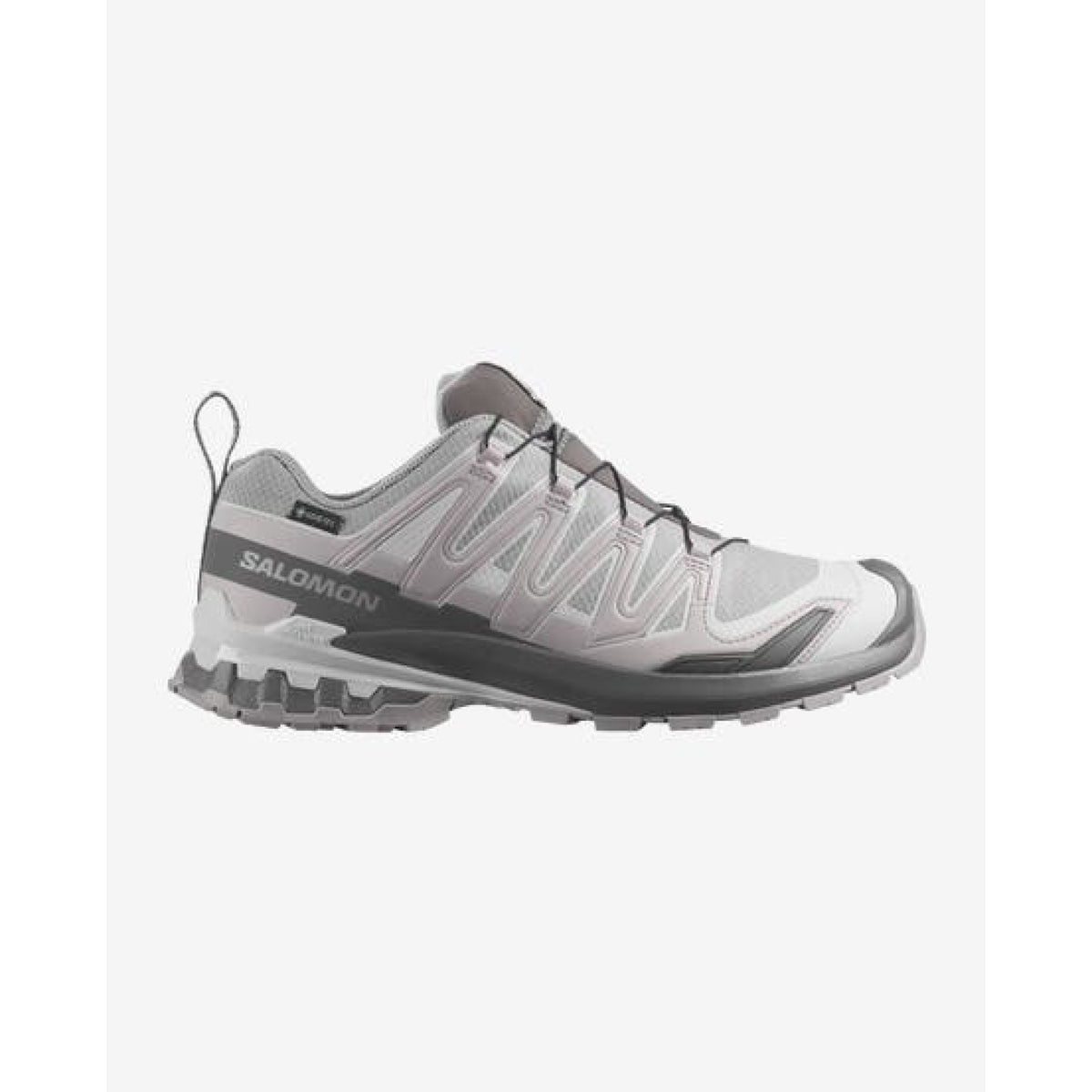 Salomon Mens XA Pro 3D V9 Gore-Tex in Alloy / Castlerock / Lunar Rock