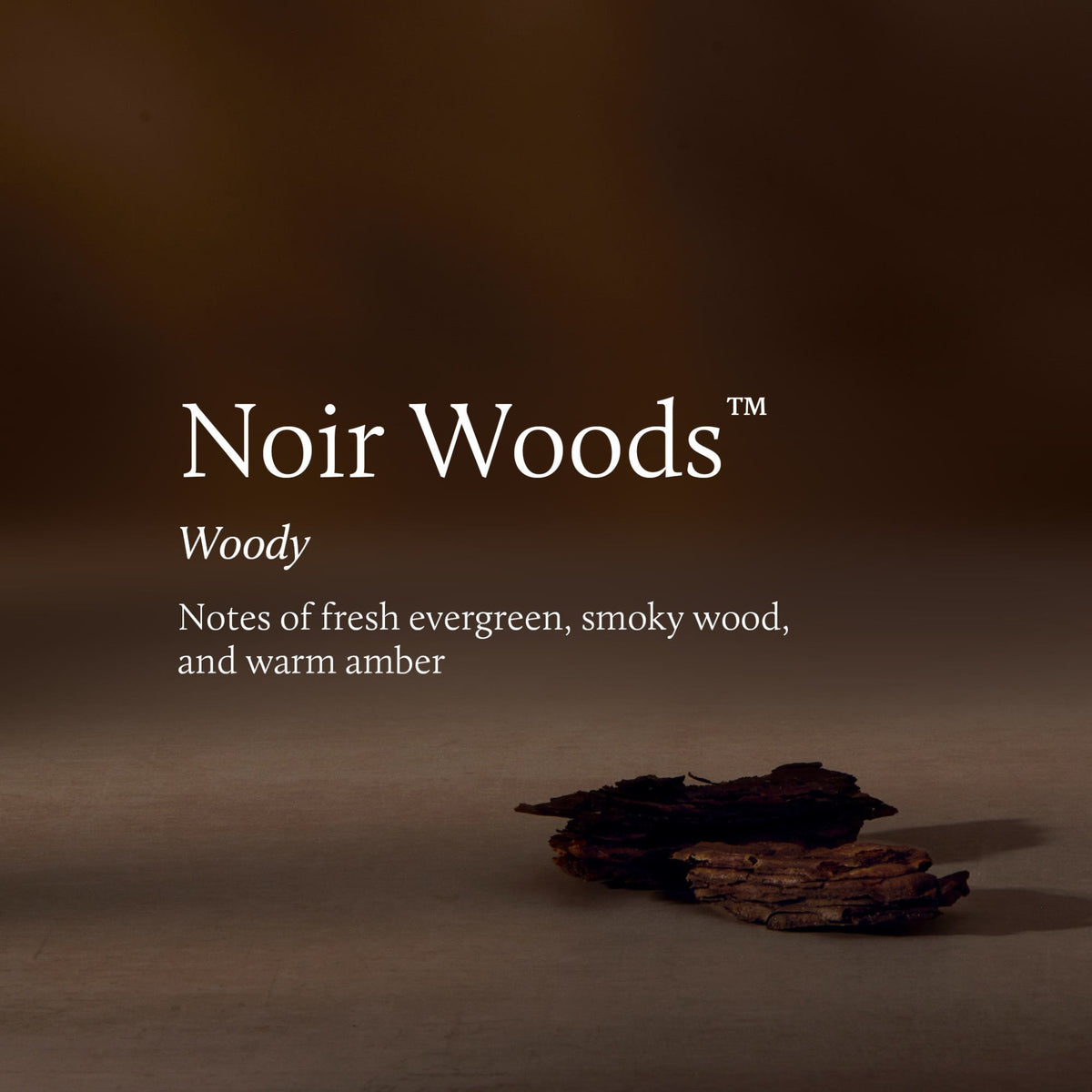 Frasier Fir Noir Woods Boxed Candle
