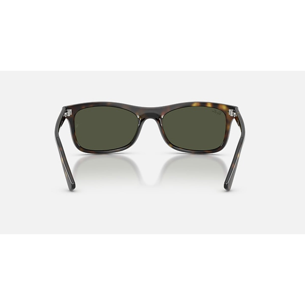 Rayban Propionate Woman Sunglass - HAVANA