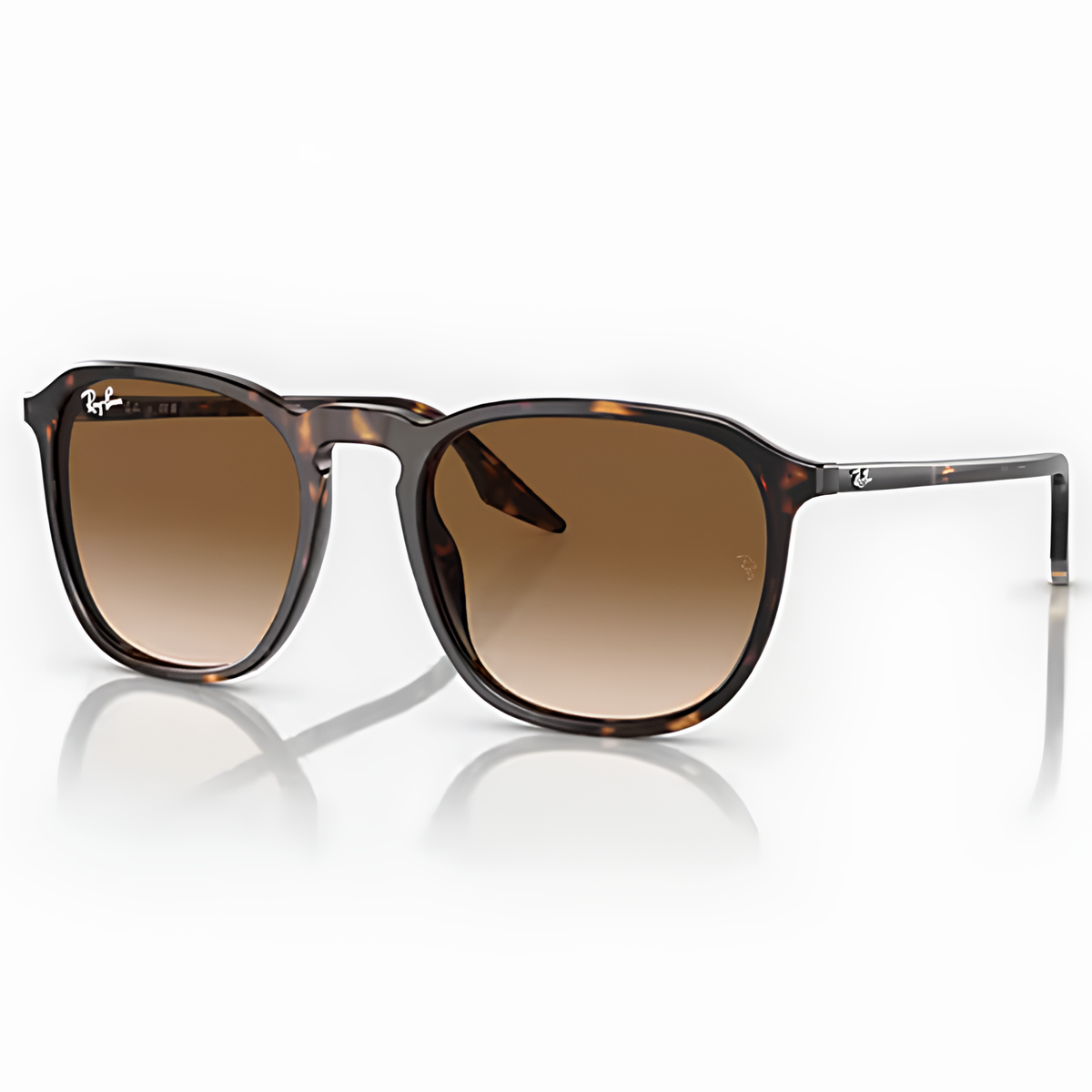 Rayban RB2203-902/51 in Havana Clear Gradient Brown-Clear Gradient Brown