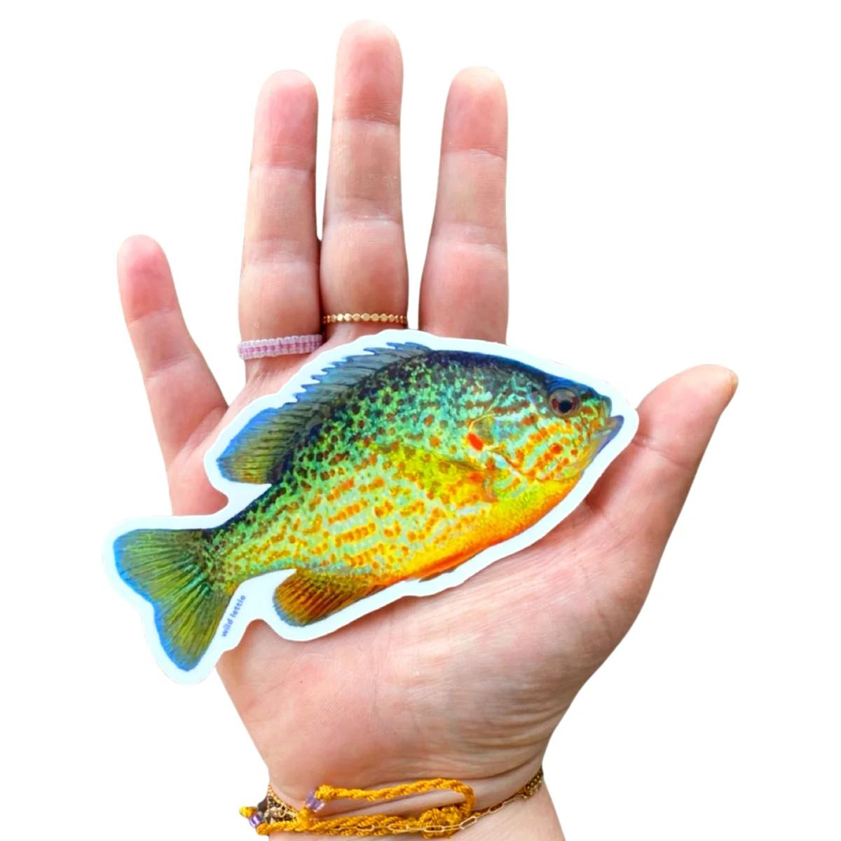 Wild Lettie Sunfish Sticker