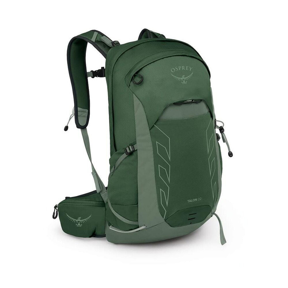 Osprey Talon 22 in Green Canopy Pine Leaf