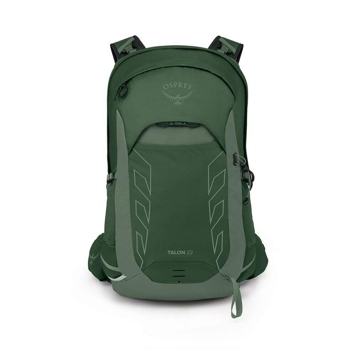 Osprey Talon 22 in Green Canopy Pine Leaf