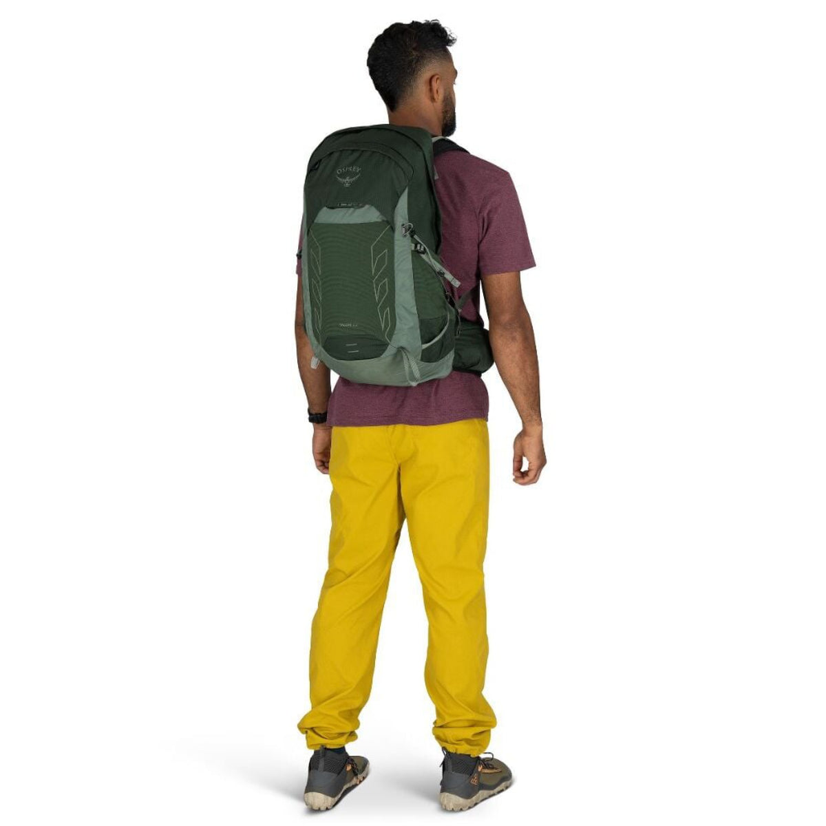 Osprey Talon 22 in Green Canopy Pine Leaf