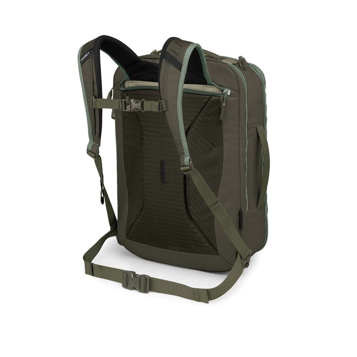 Osprey Transporter Travel Pack 36 in Pine Leaf - One Size