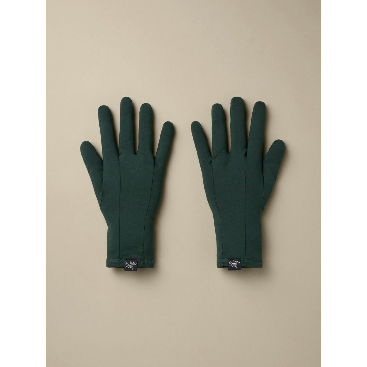 Arcteryx Unisex Rho Glove F26