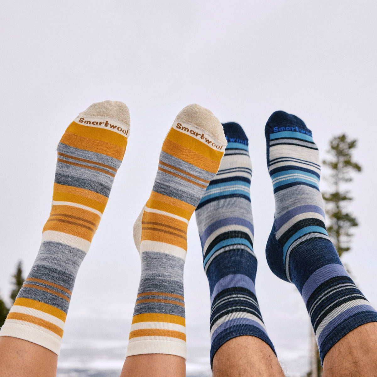 Smartwool Womens Everyday Saturnsphere Crew Socks F26 - Natural