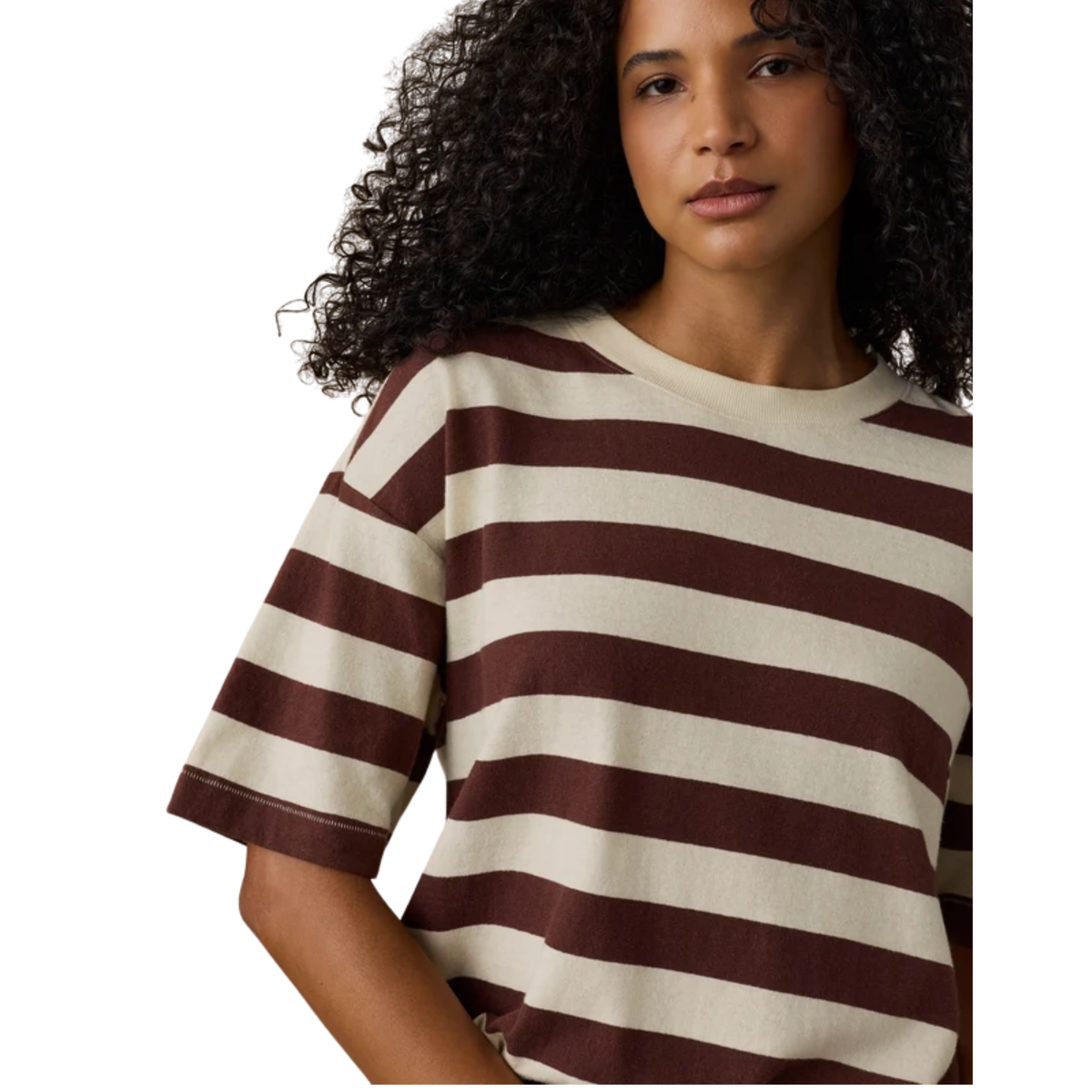 Faherty Womens Hemp Blend Vintage Tee- Espresso Stripe