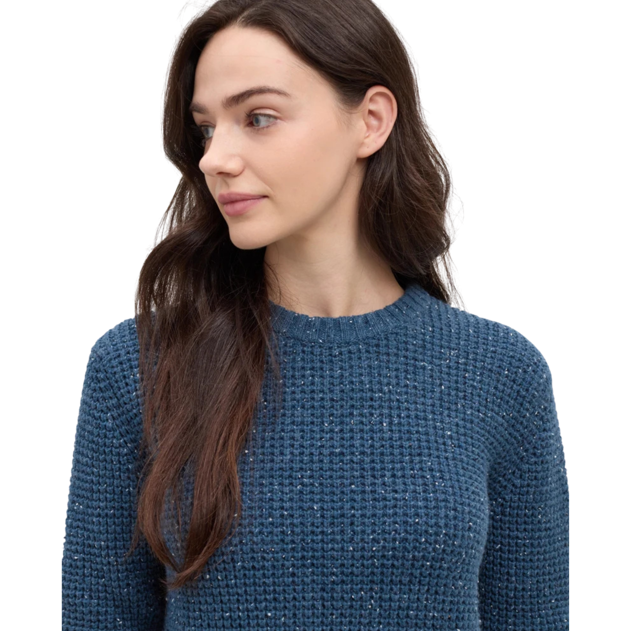 Tentree Womens Morrell Fleck Sweater-6400_Blue Horizon Fleck