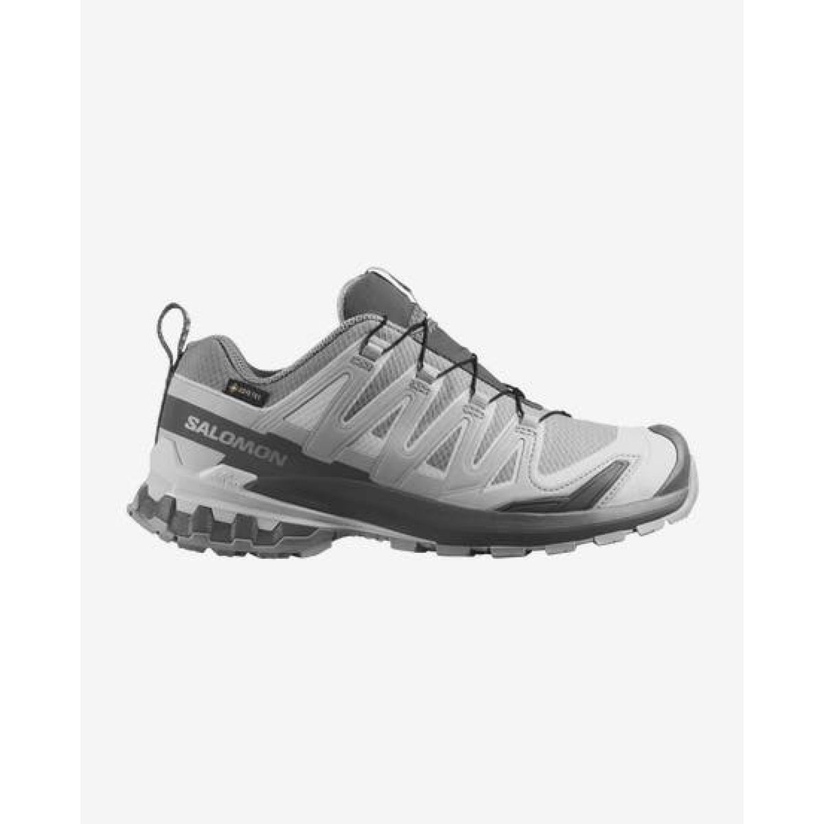 Salomon Womens XA Pro 3D V9 Gore-Tex in Alloy / Castlerock / Lunar Rock