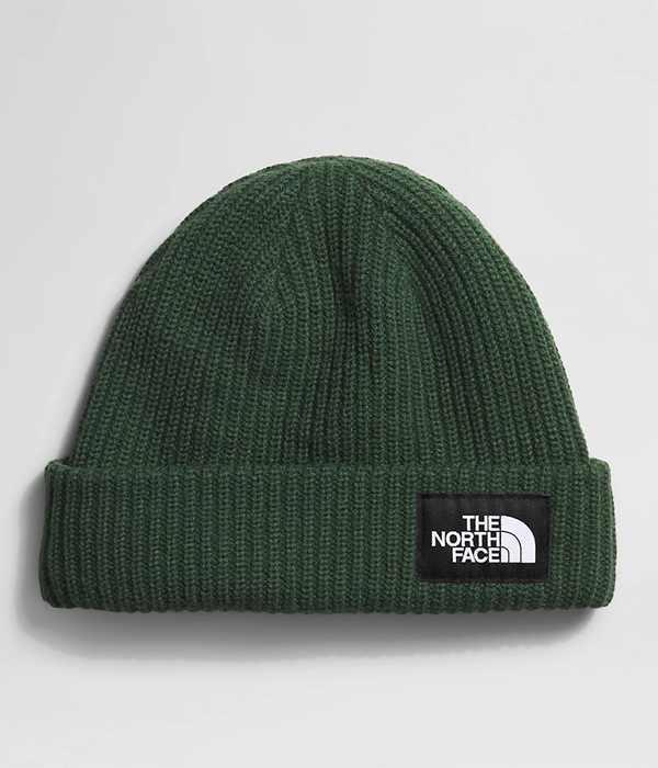 Salty Lined Beanie F24