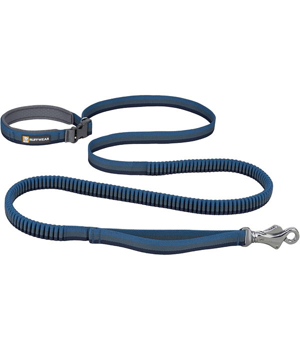 Roamer Leash