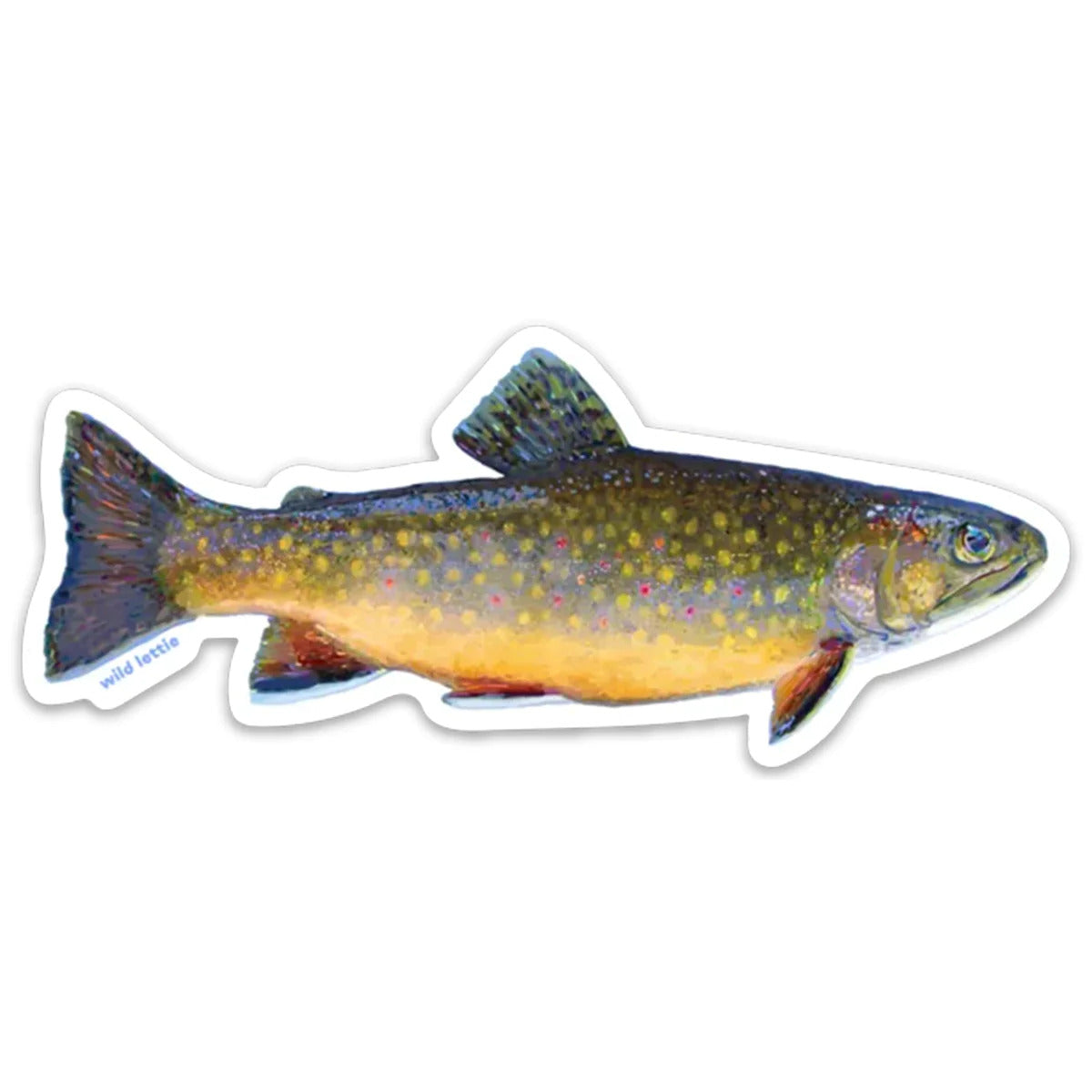 Brook Trout Sticker