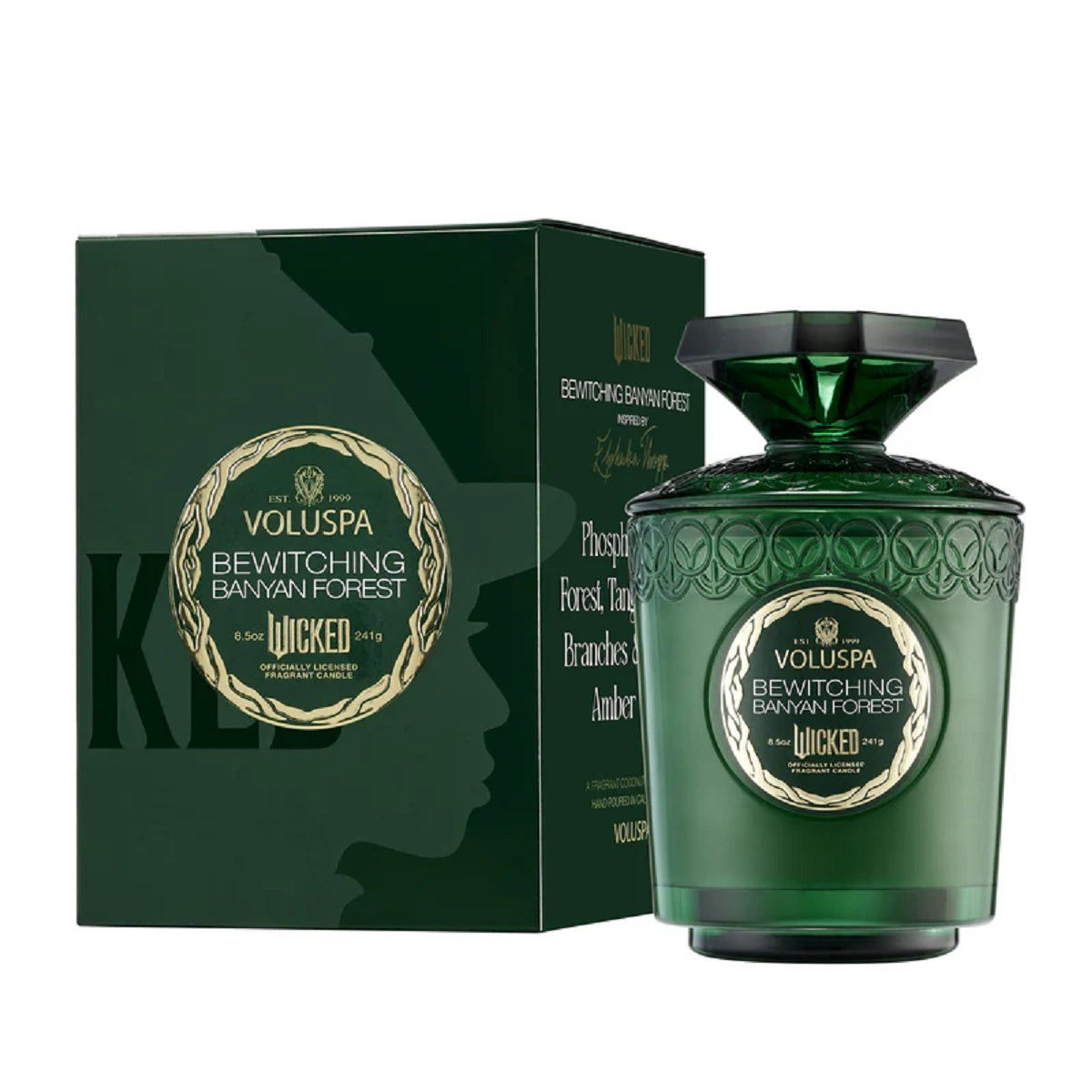 Bewitching Banyan Forest Boxed 8.5 oz Candle