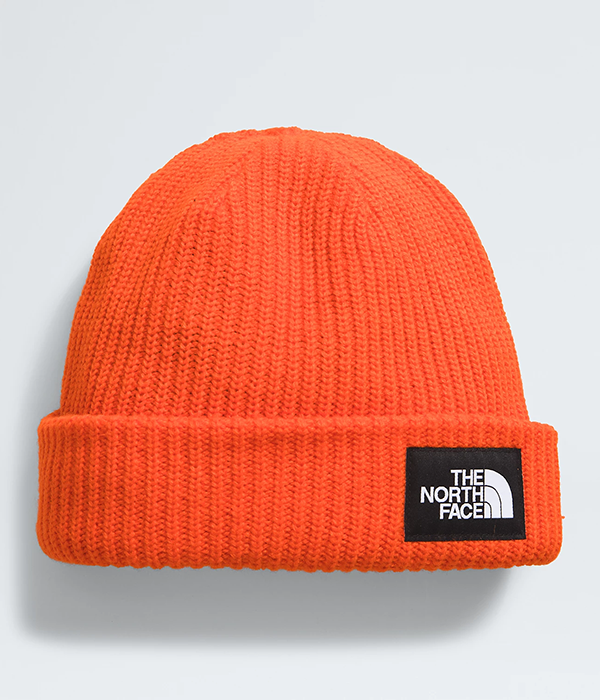 Salty Lined Beanie F24