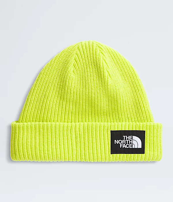 Salty Lined Beanie F25
