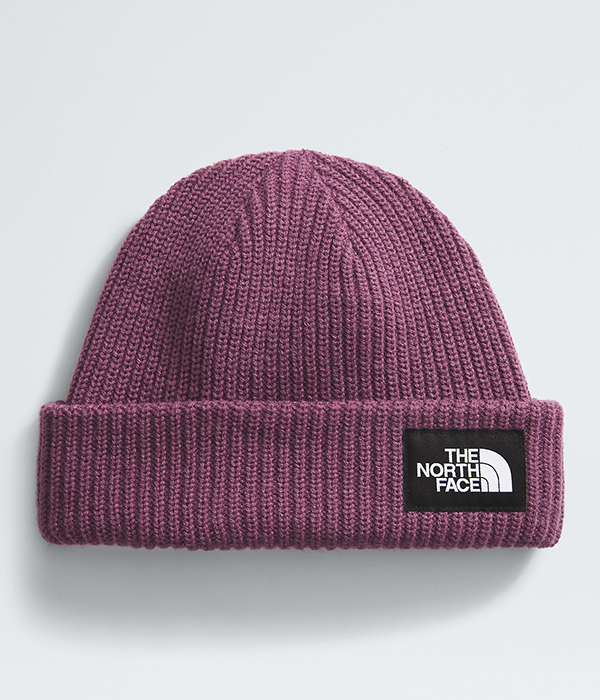 Salty Lined Beanie F24