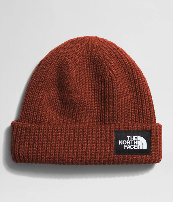 Salty Lined Beanie F24