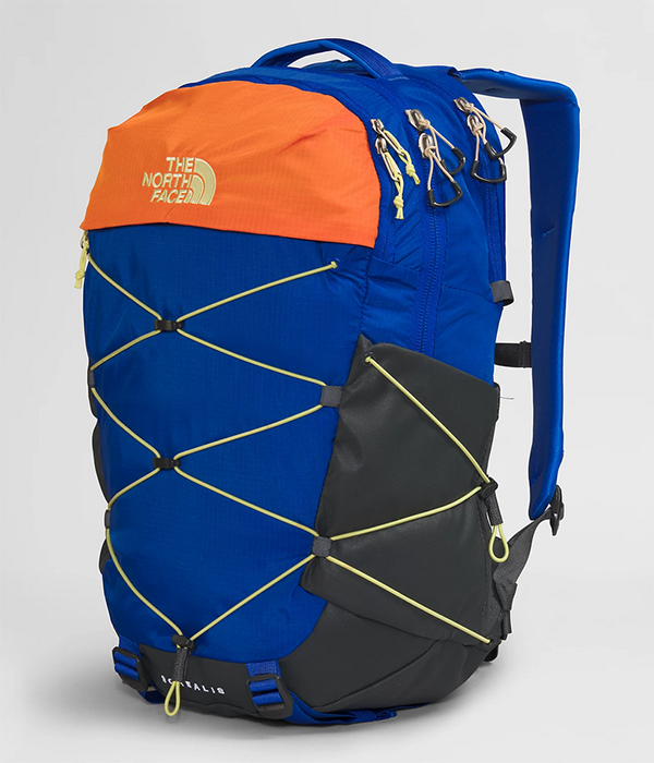 Borealis S25