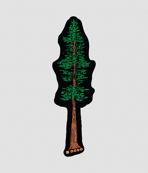 Redwood Tree of Knowledge Patch