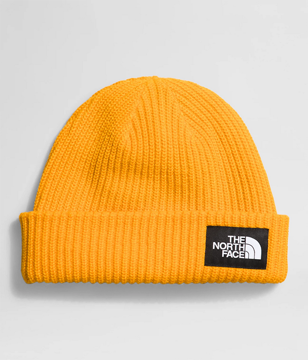 Salty Lined Beanie F24