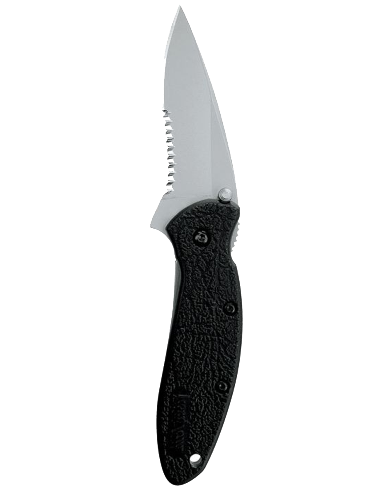 Scallion Partially Serrated
