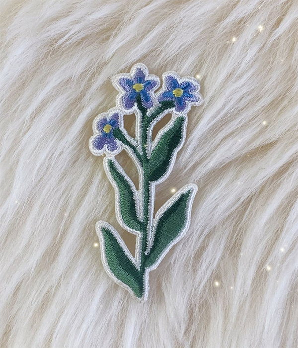 Forget Me Not Flower Patch