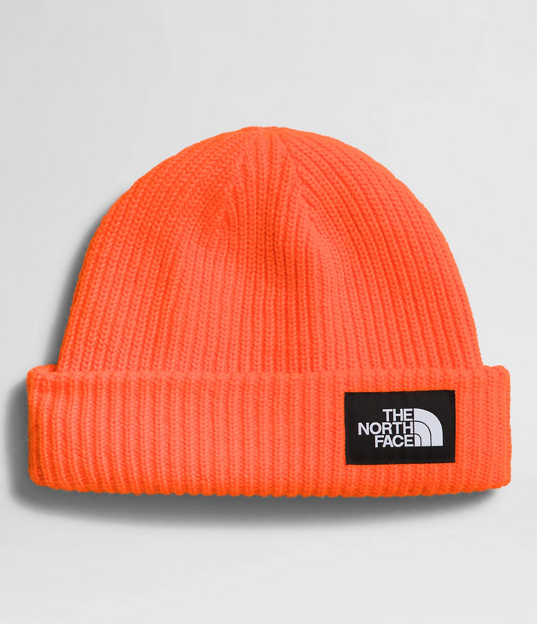 Salty Lined Beanie F24