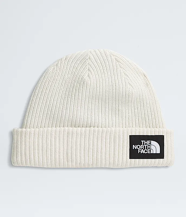 Salty Lined Beanie F25