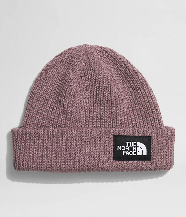 Salty Lined Beanie F24