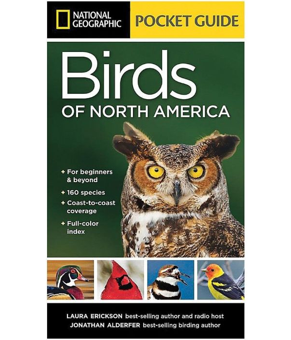 Pocket Guide to The Birds of North America