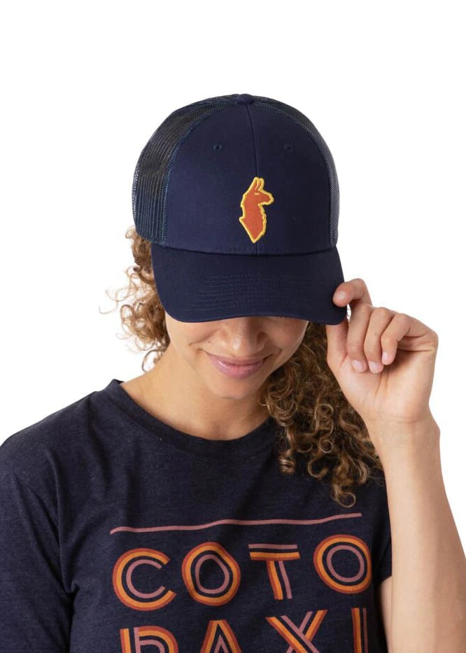 Llama Trucker Hat in Maritime
