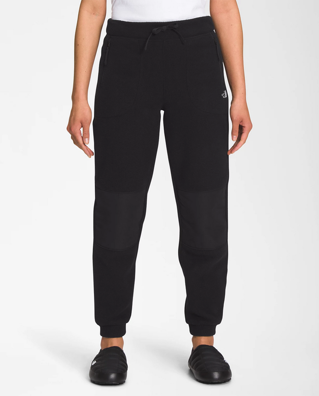 Womens Alpine Polartec 200 Pant