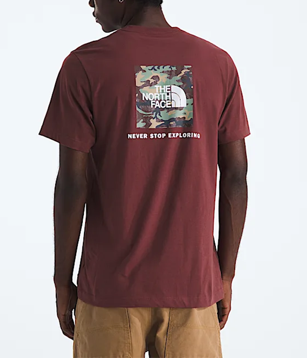 Mens Evolution Box Camo Fill Short Sleeve Tee Graphic