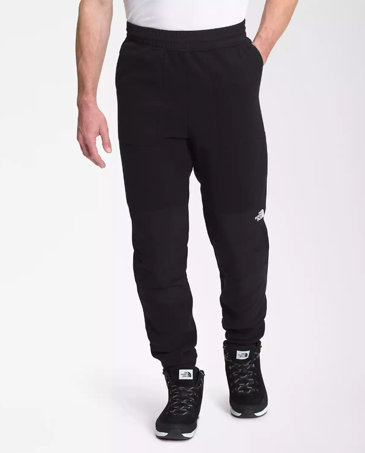 Mens Denali 2 Pant