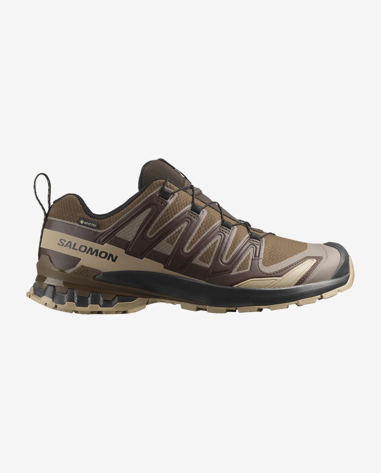 Men Shoes XA PRO 3D V9 GTX  in Dkeart/Dsrtan/Bla