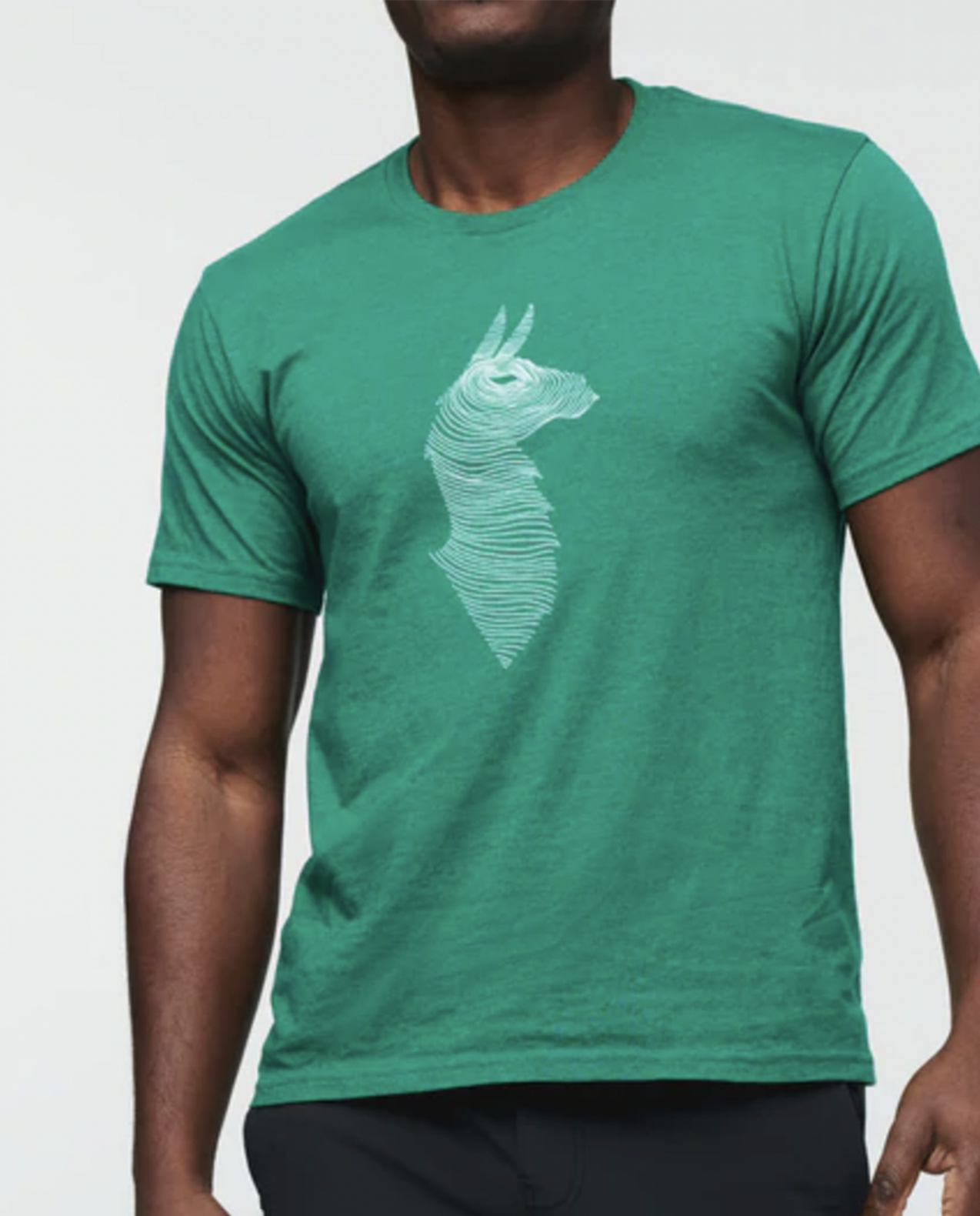 Mens Topo Llama T-Shirt in Verde