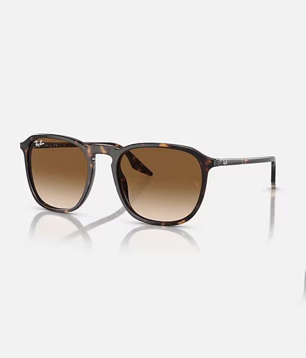 RB2203-902/51 in Havana Clear Gradient Brown