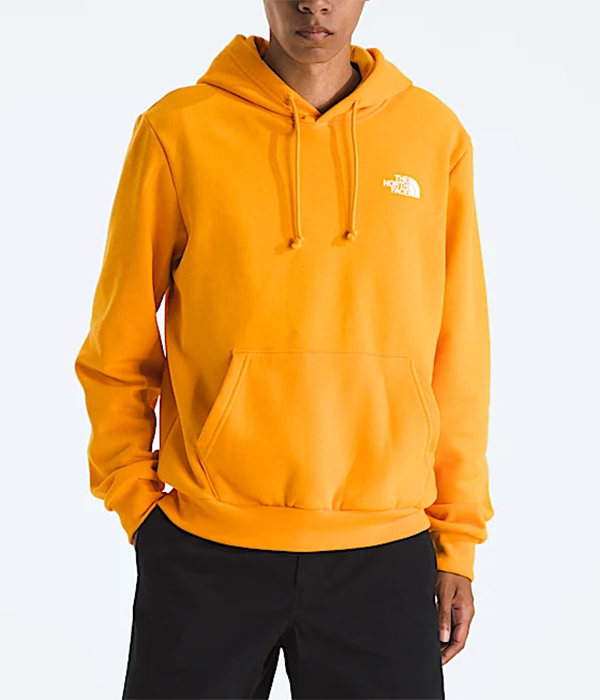 Mens Evolution Box NSE Hoodie